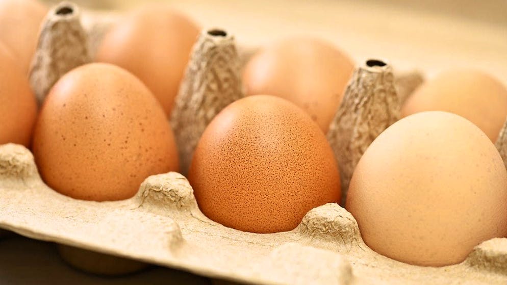 Italian physicists provide new arguments for the optimally heated egg.