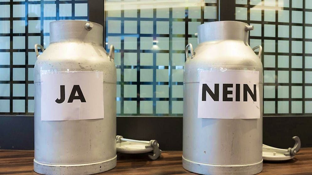 In addition to the national vote on the environmental responsibility initiative, votes will be held in six cantons. (archive picture)