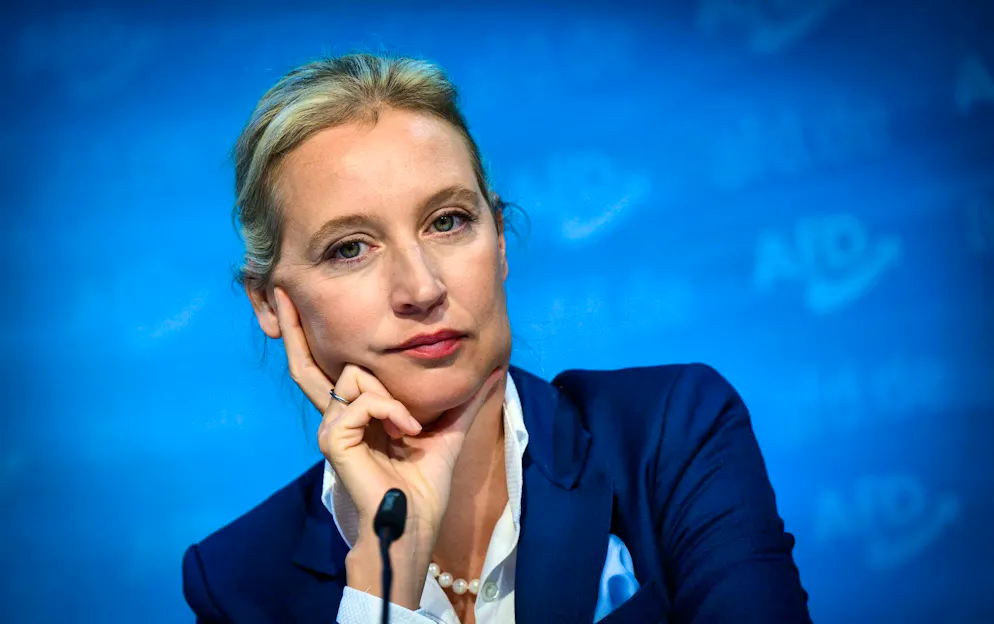 The AfD under its lead candidate Alice Weidel can be pleased about a significant increase in assets.