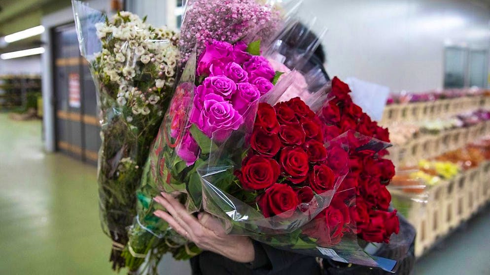 Lovers give more time instead of roses on Valentine's Day - Gallery. A florist gets ready: Roses in particular are still popular on Valentine's Day - but not only. (archive picture)