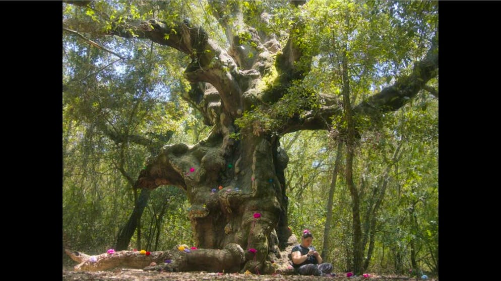 Una scena tratta dal documentario «Valentina e i MUOStri» di Francesca Scalisi.