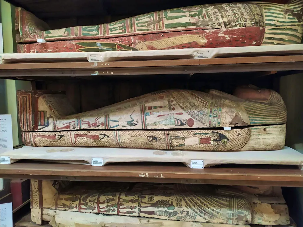 The scent of ancient Egyptian mummies. Human sniffers and technical devices analyzed the scent of these mummies.