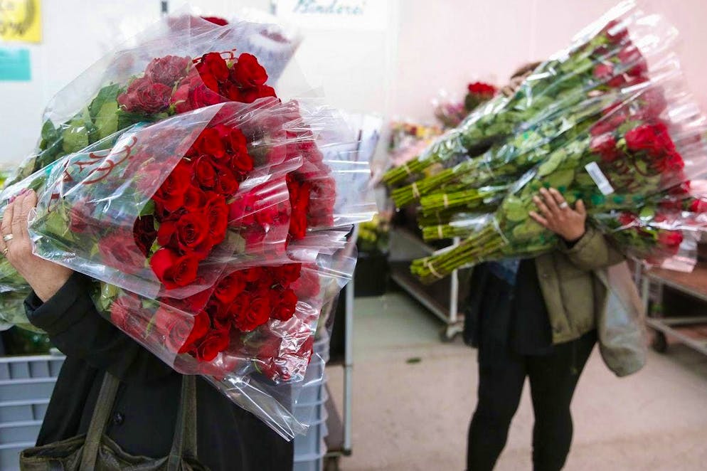 As many roses as your hands can carry: Swiss flower stores achieve record sales on Valentine's Day - but the stakes are also high (archive image).