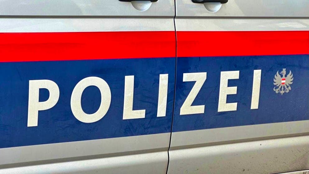 Politicians from various parties reacted with horror. (archive picture)