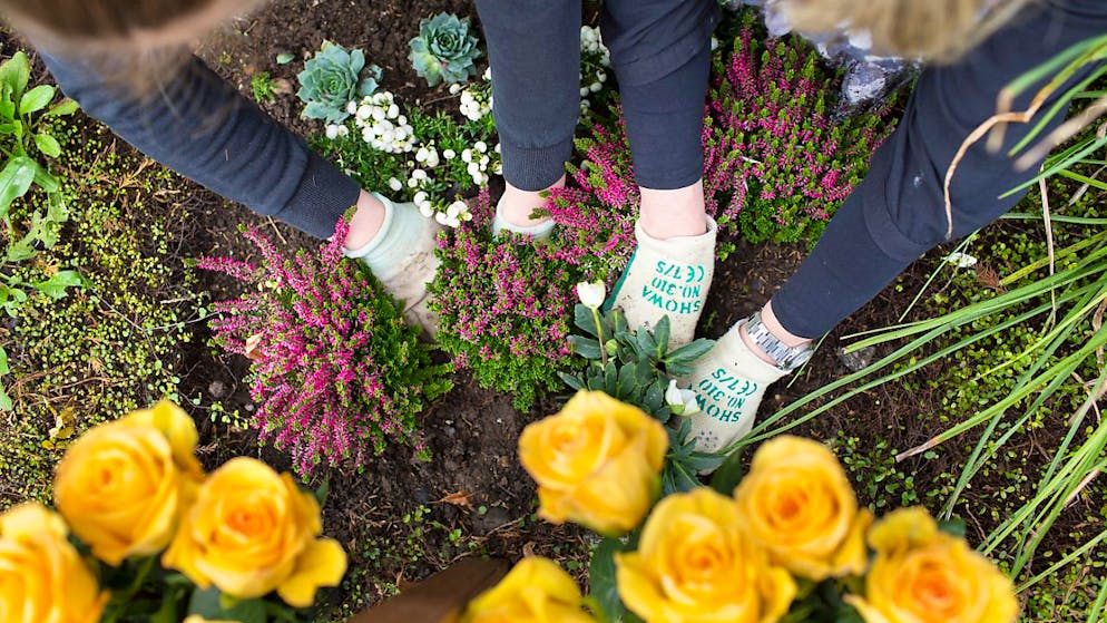 A Zurigo si vuole testare un'alternativa alle tradizionali forme si sepoltura. (Immagine d'archivio).