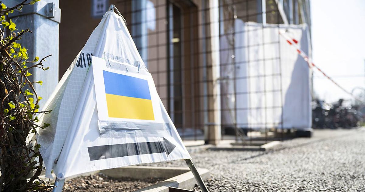 Ukrainiens en Suisse : comment la guerre a changé leur vie et leur travail