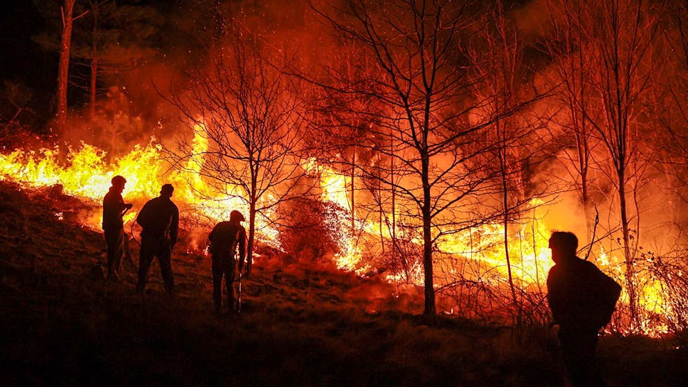 Gli incendi in Argentina preoccupano anche il Cile. (Immagine d'archivio).
