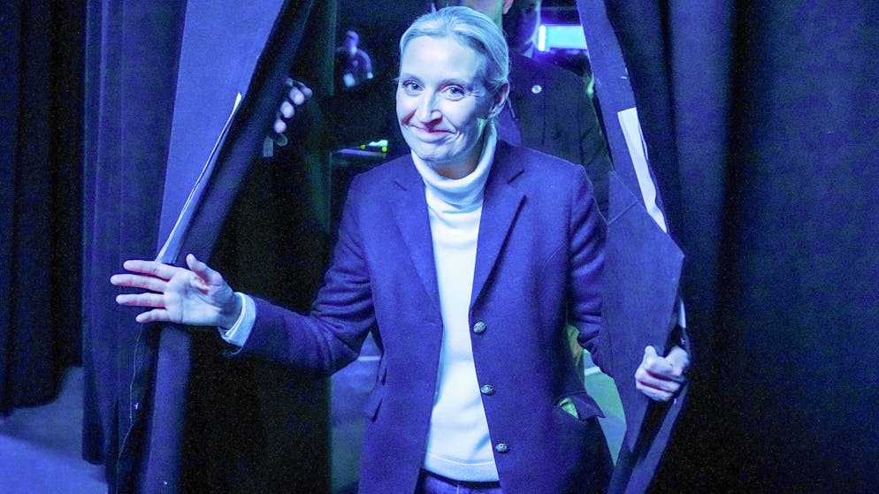 Die AfD von Co-Chefin Alice Weidel hat zum wiederholten Mal eine Millionenspende erhalten. Die Herkunft des Geldes weckt Erinnerungen an eine Spendenaffäre vor acht Jahren.