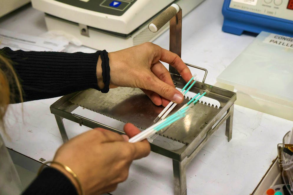 A woman in the USA realized that the wrong embryo had been implanted in the fertility clinic when she gave birth to a "dark-skinned, African-American" child that did not match her or the sperm donor.