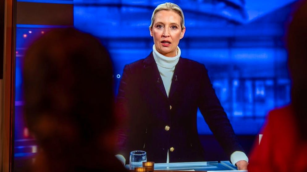 Demo in Weidels Schweizer Wohnort. «Es soll nicht dasselbe passieren wie damals mit dem Nazi-Gold»