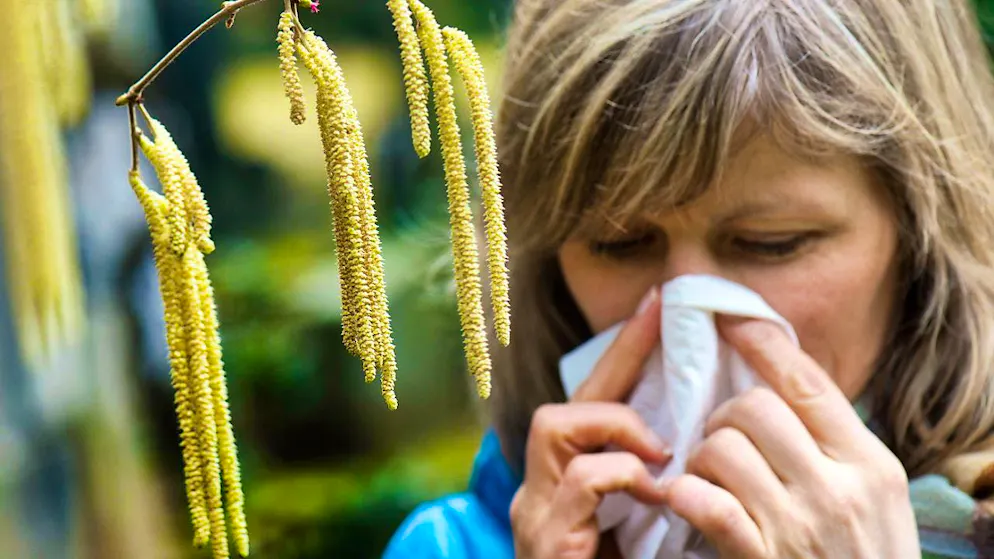 With the mild weather next week comes the pollen and it can be uncomfortable for allergy sufferers. (archive picture)