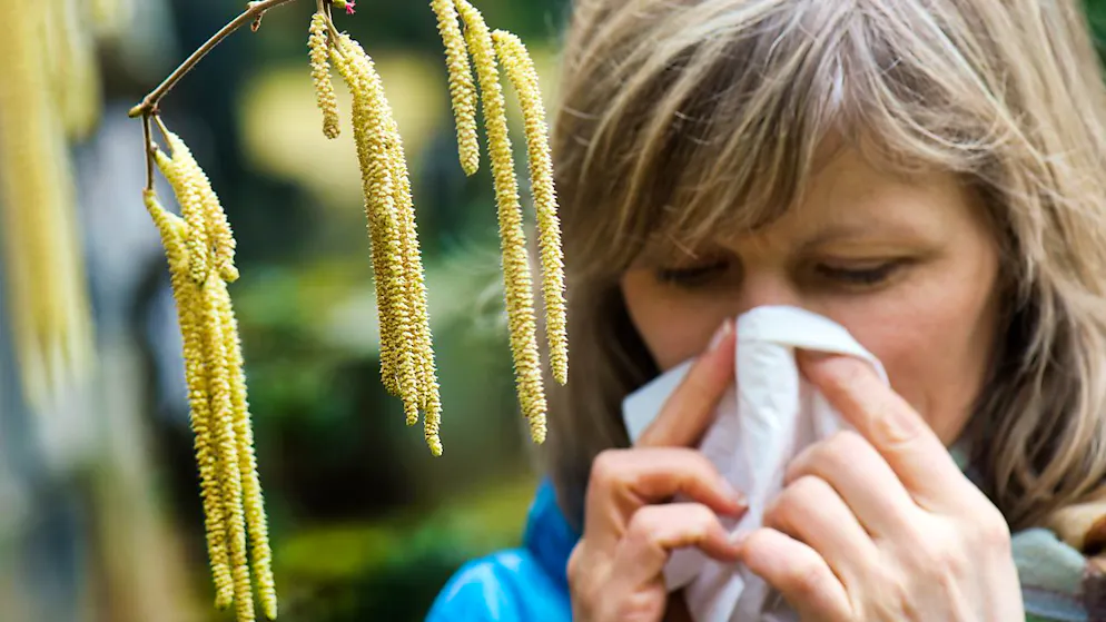 Mit dem milden Wetter kommende Woche kommen die Pollen und für Allergiker kann es ungemütlich werden. (Archivbild)