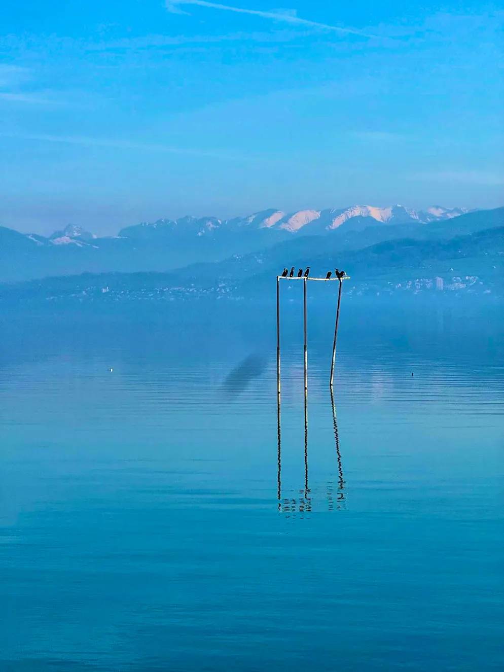 Spring pictures. But there are also beautiful lakes elsewhere: view of Lake Constance from Arbon TG.