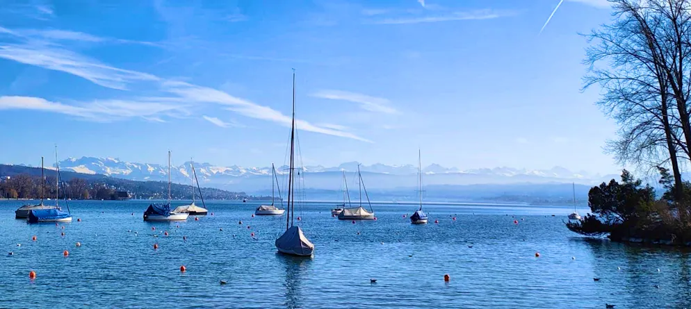 Spring pictures. The sun shines brightly over Lake Zurich.