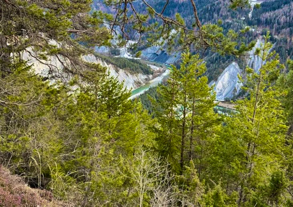Spring pictures. Spring greetings from Flims. 