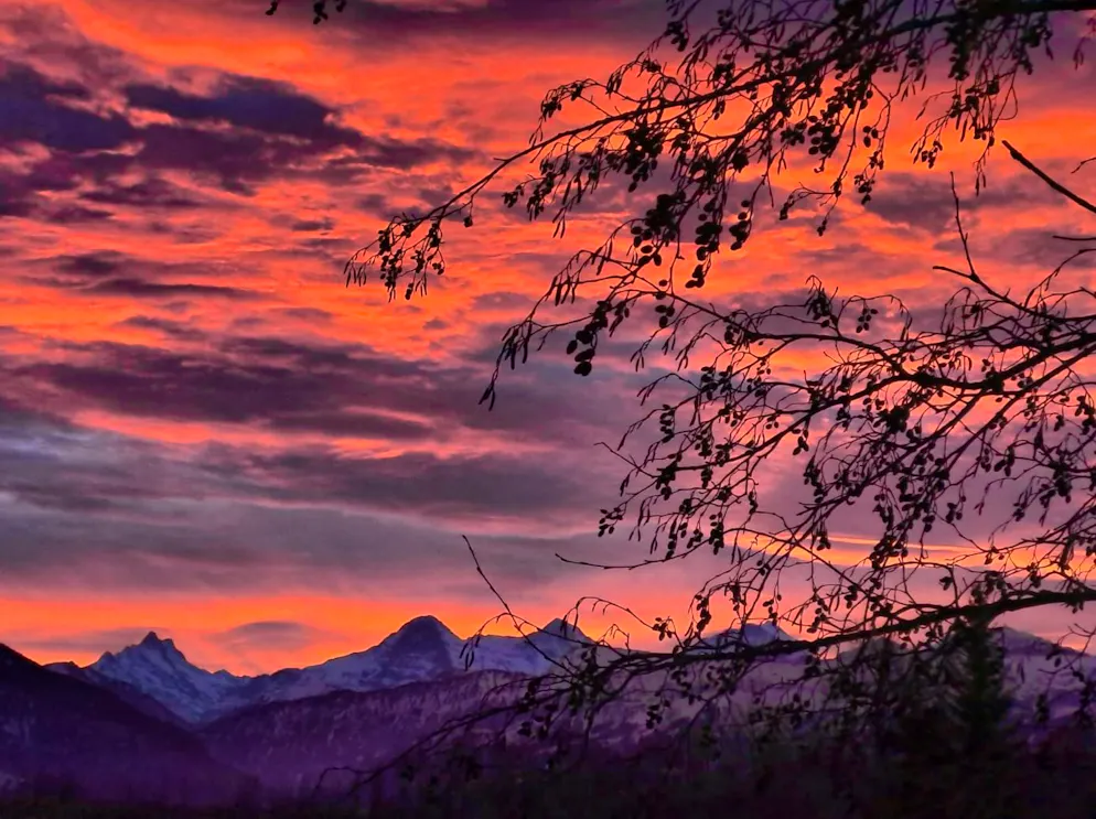 Spring pictures. Sunrise in the Kander delta near Thun.