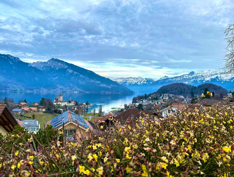 Spring pictures. Spring awakening in Spiez BE.