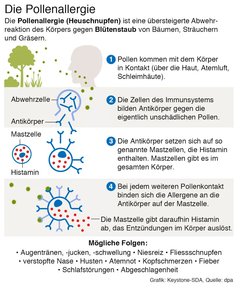 Die typischen Symptome einer Pollenallergie.