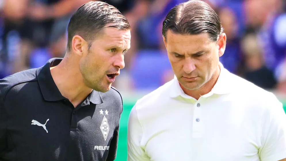 David Zibung's new job at Gladbach. 