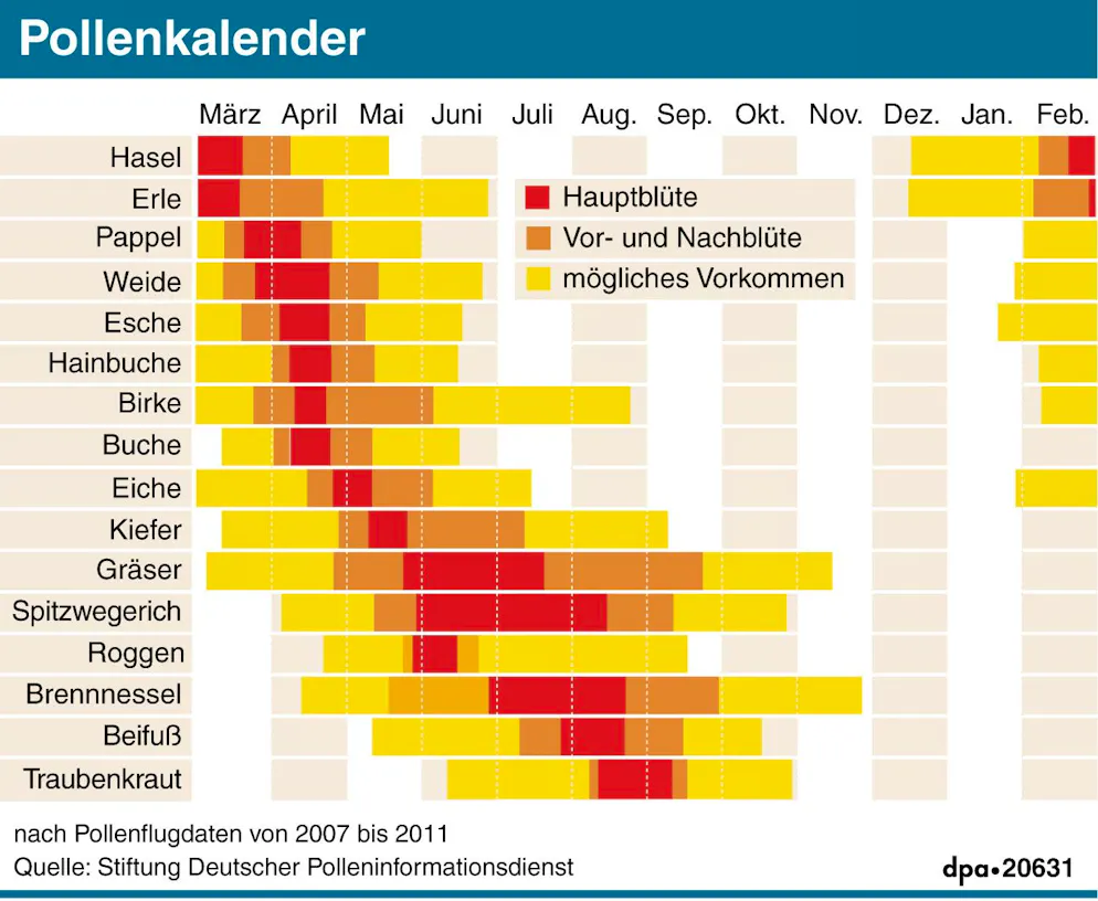 Zeiträume, in denen Bäume, Gräser und andere Pflanzen blühen und deshalb die Pollenbelastung für Allergiker sehr groß ist.