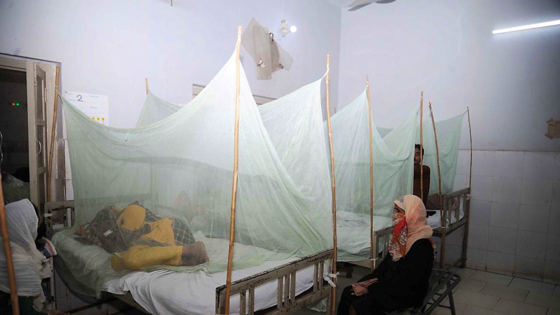 Durchbruch bei Malaria-Impfung: Schweizer Forscher auf dem Weg zu einer wirksamen Lösung