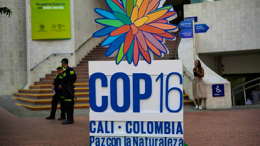 The biodiversity conference in Rome was a continuation of the conference in Cali, Colombia, in November 2024 (archive image)