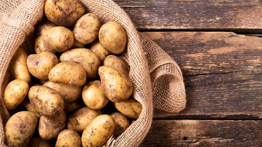 Wer eine grosse Portion Kartoffeln zuzubereiten plant, kann die Spülmaschine als Küchenhilfe einsetzen, um die Kartoffeln abzuwaschen.
