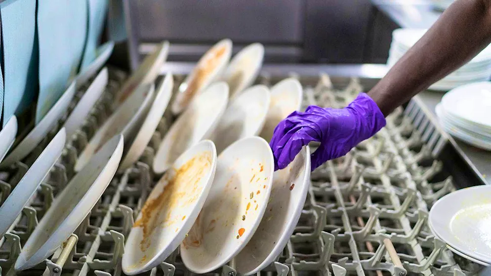 Commercial dishwashers pose health risks, according to a study. (symbolic image)