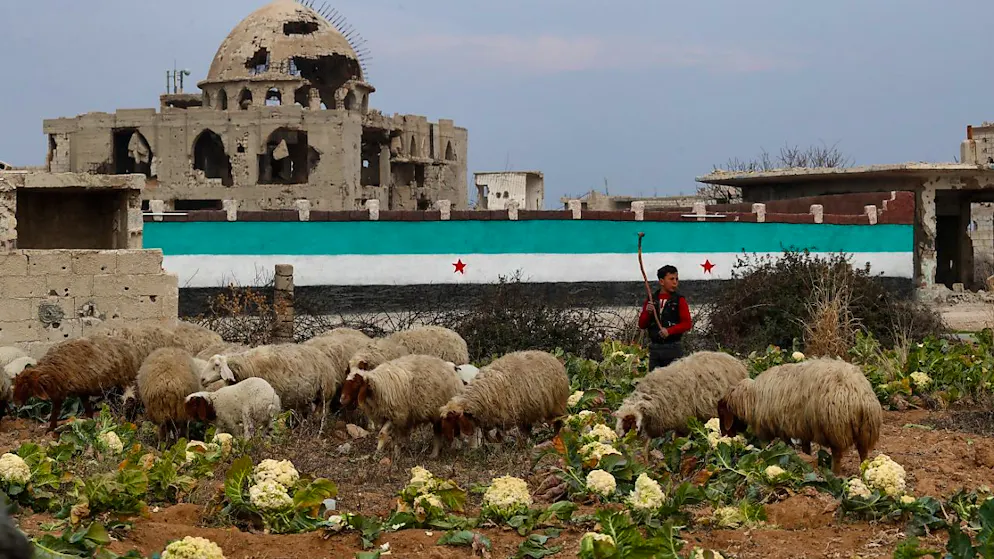 ARCHIV - Ein Junge hütet eine Schafherde neben einer Wand mit einer syrischen Flagge (Archivbild). Foto: Omar Sanadiki/AP/dpa