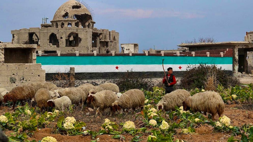 ARCHIVE - A boy tends a flock of sheep next to a wall with a Syrian flag (archive photo). Photo: Omar Sanadiki/AP/dpa