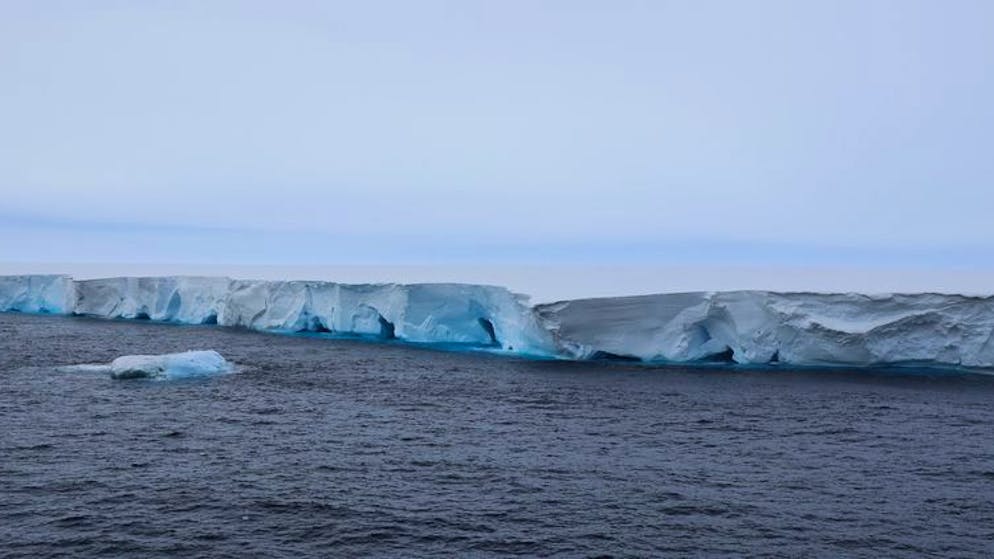 A23a on the wrong track. World's largest iceberg runs aground north of Antarctica