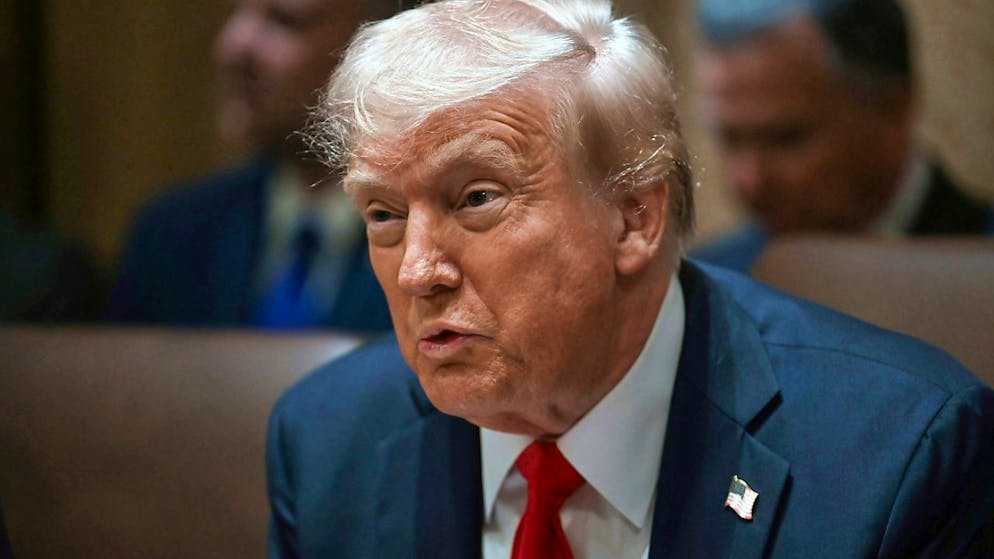 ARCHIV - Präsident Donald Trump leitet seine erste Kabinettssitzung nach seiner Wiederwahl im Weißen Haus. Foto: Uncredited/Pool/dpa