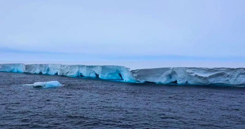The largest and oldest iceberg in the world, A23a, has run aground near the island of South Georgia, according to scientists.