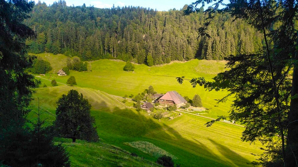 Jodok Cello. The successful cello star grew up on an organic farm in Emmental.
