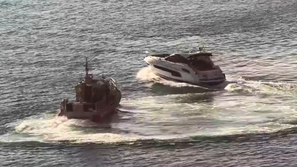Chase in the harbor. Yacht thief flees from coast guard