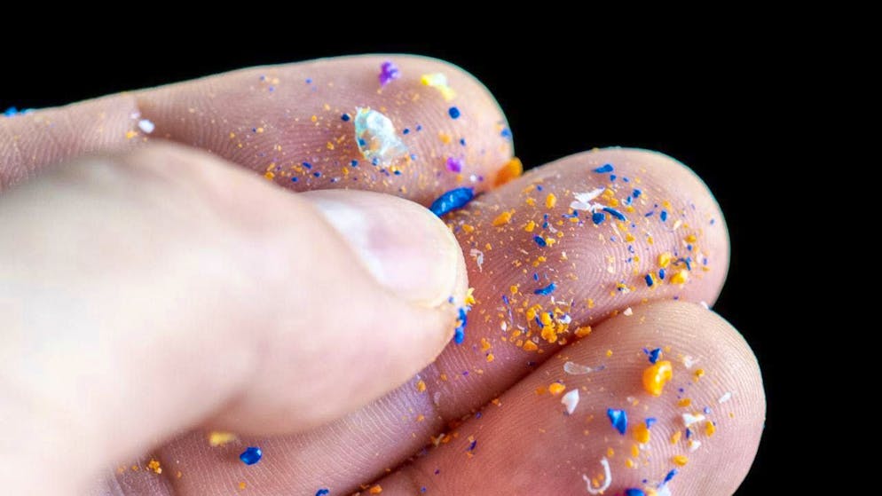 Microplastics are found in the brain and other organs. What this means has hardly been researched so far. (archive picture)