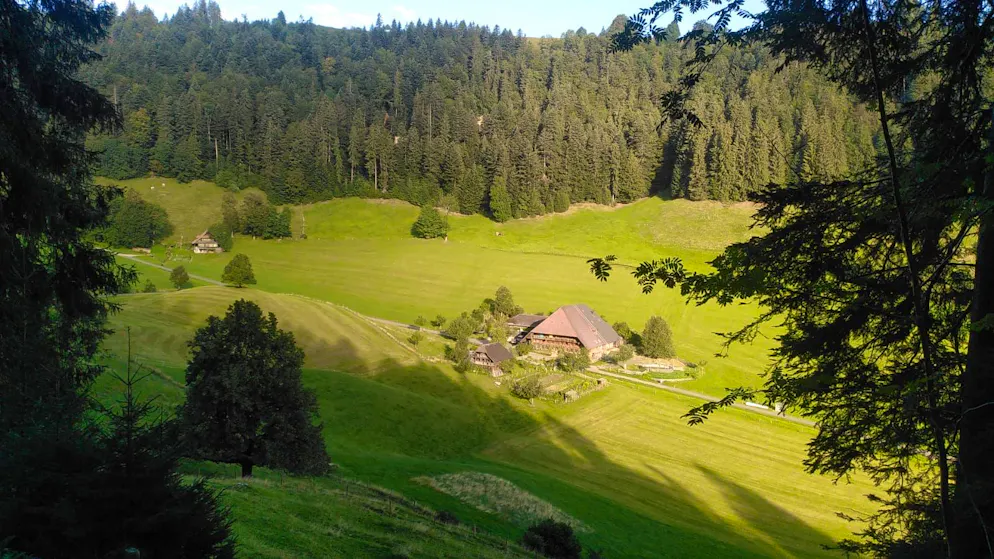 Jodok Cello. Aufgewachsen ist der erfolgreiche Cello-Star auf einem Bio-Bauernhof im Emmental.