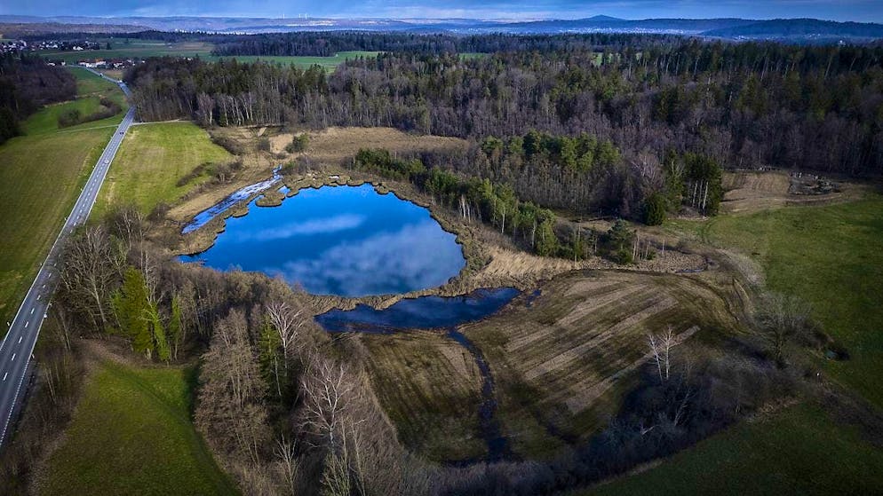 A body was found in Lake Barchet near Neunforn TG in 2007.