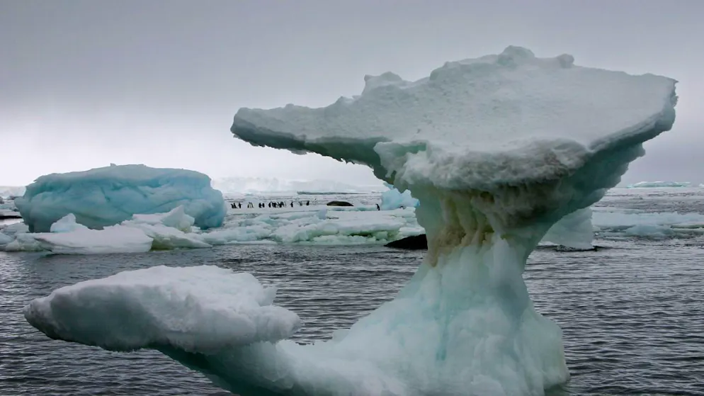 Im späten Winter sinkt die globale Meereis-Fläche jeweils auf das Jahresminimum. In diesem Februar war eine besonders grosse Fläche eisfrei. (Archivbild)