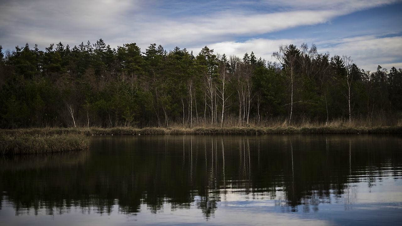 Process/Court. Thurgau High Court confirms verdict in the Barchetsee case