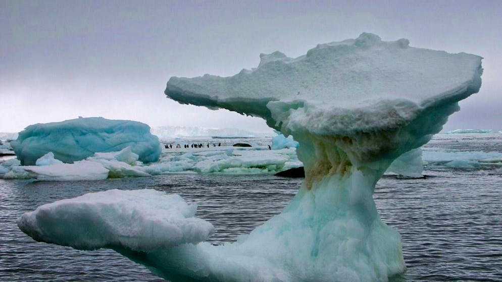 In late winter, the global sea ice area falls to its annual minimum. This February, a particularly large area was ice-free. (archive image)