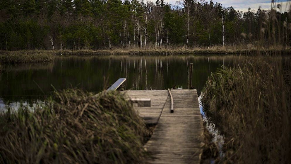 The tenant of the lake found the body. The case developed into a cold case until a few years ago.