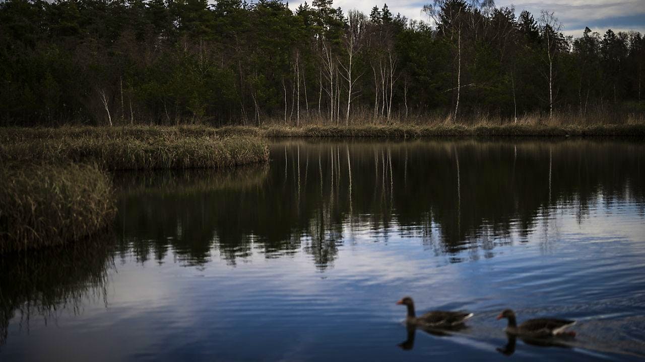 Trial. Defendant defends himself against long prison sentence in Frauenfeld