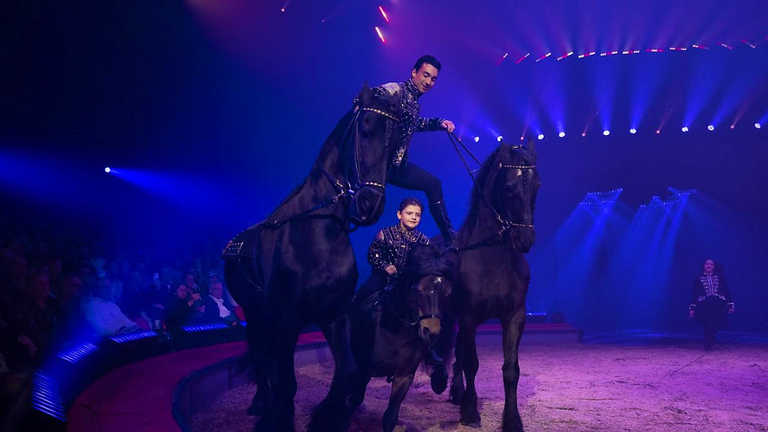 Zirkus-Premiere in Rapperswil SG: Maycol Knie begeistert mit Pferdenummer