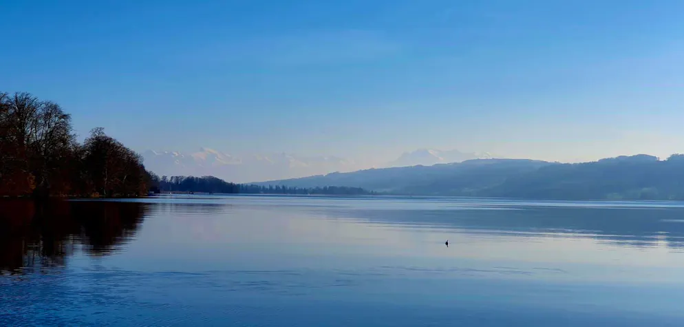 Frühlingsbilder 2025. Heute Morgen am Hallwilersee.
