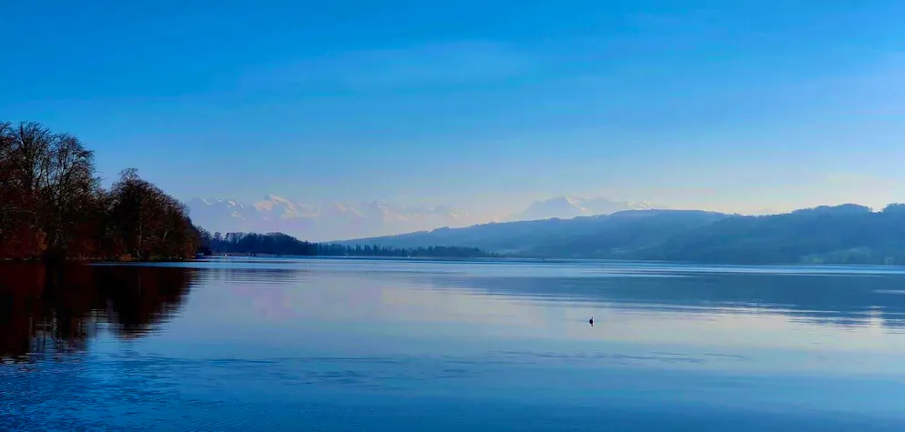 Spring pictures 2025. This morning at Lake Hallwil.