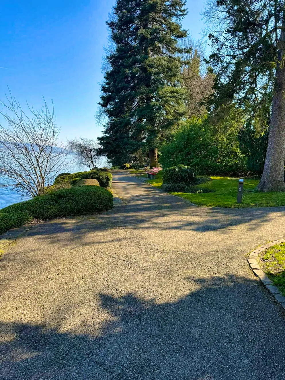 Spring pictures 2025. Spring on Lake Zurich in Horgen.