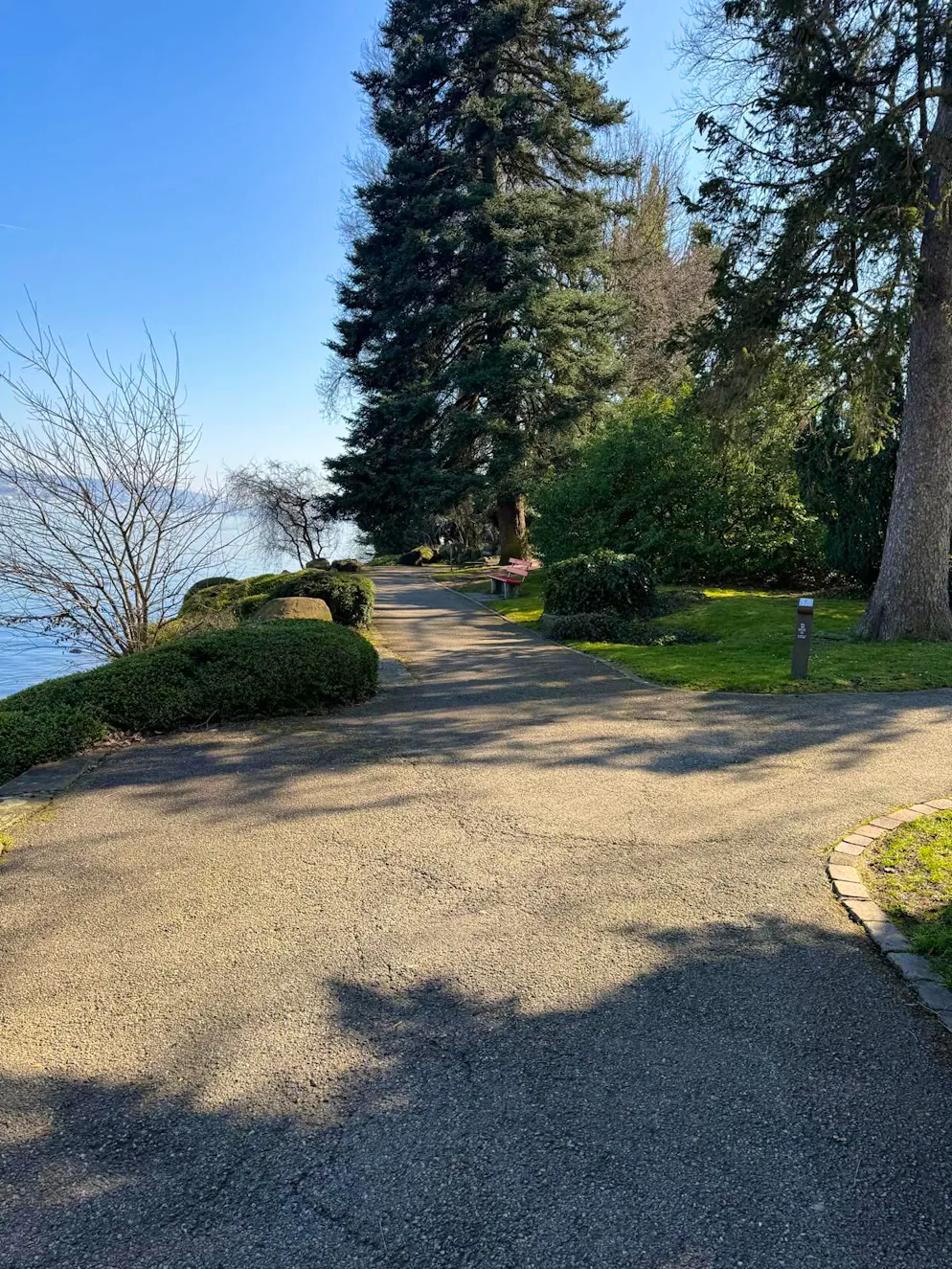 Frühlingsbilder 2025. Frühling am Zürichsee in Horgen.