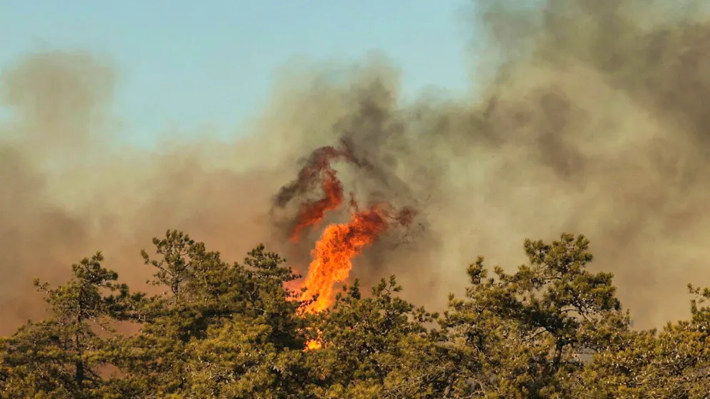 dpatopbilder - Flammen schlagen aus der Vegetation während eins Buschfeuers in New York. Foto: Steve Pfost/Newsday/AP/dpa - ACHTUNG: Nur zur redaktionellen Verwendung und nur mit vollständiger Nennung des vorstehenden Credits
