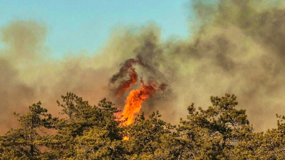 dpatopbilder - Flames leap from vegetation during a brush fire in New York. Photo: Steve Pfost/Newsday/AP/dpa - ATTENTION: For editorial use only and only with full attribution to the above credit